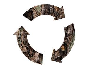 Symbole circulaire avec une texture boisé