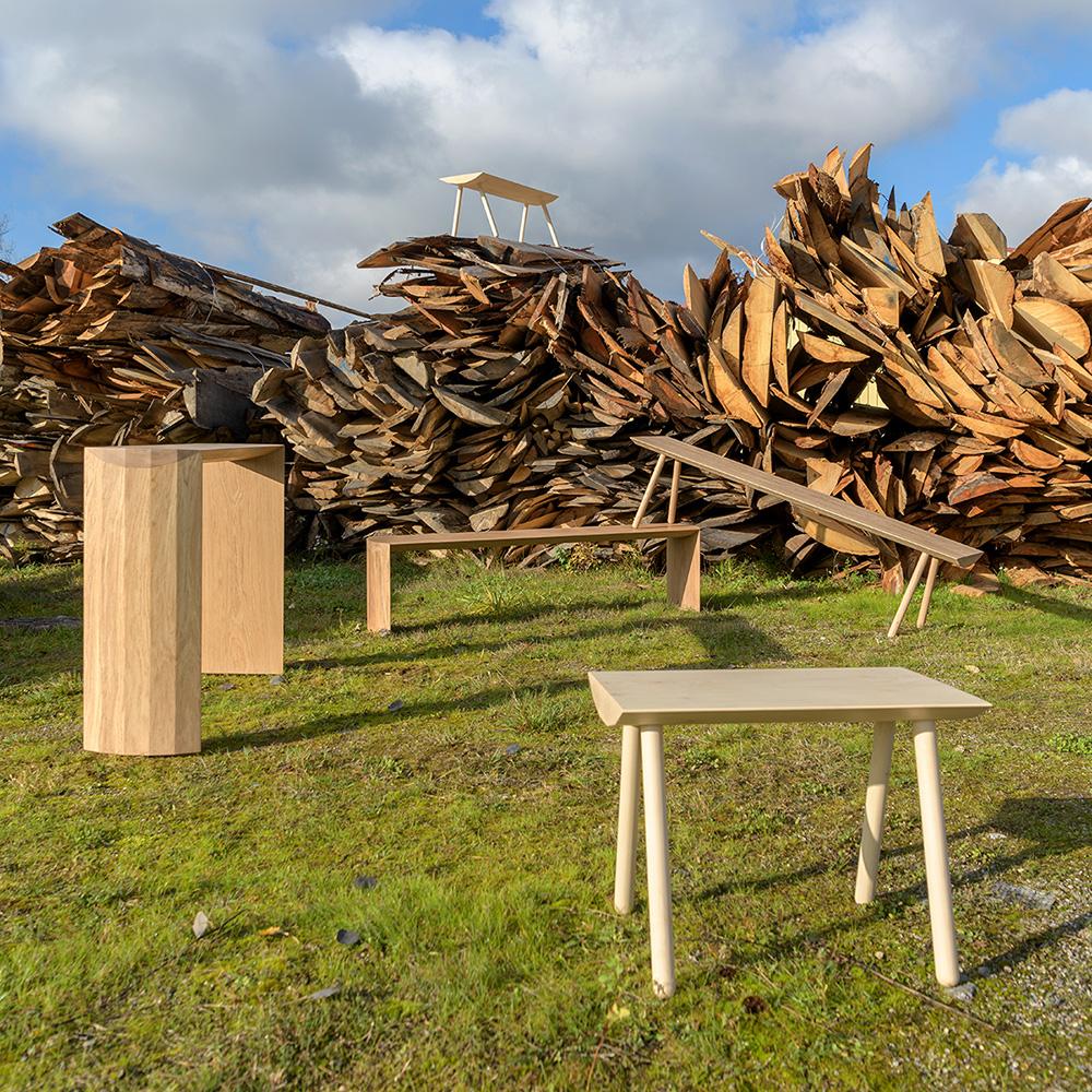 Collection Dendro